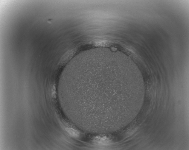 X0000067900502200604171406