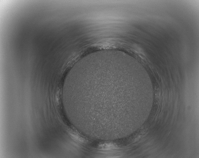 X0000067900503200604171406