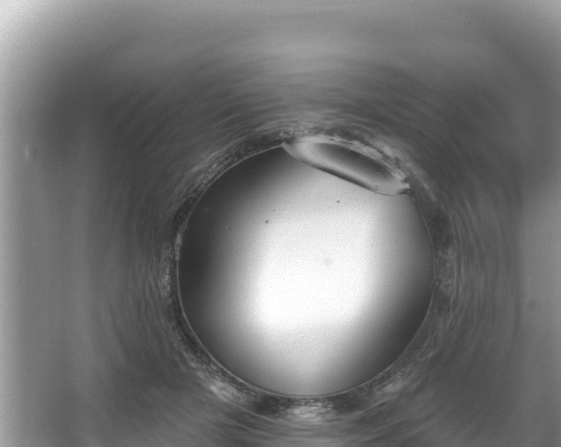 X0000067900505200604171406