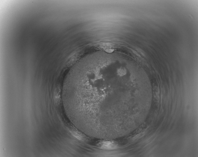 X0000067900507200604171406