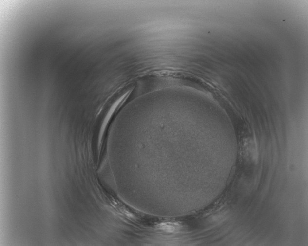 X0000067900508200604171406