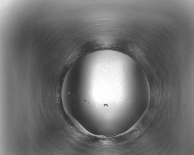 X0000067900509200604171406