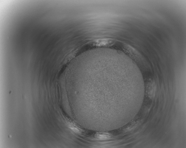 X0000067900510200604171406