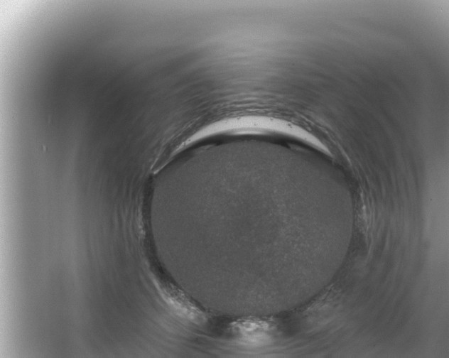 X0000067900512200604171406