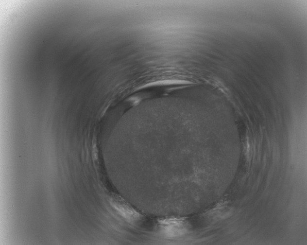 X0000067900516200604171406