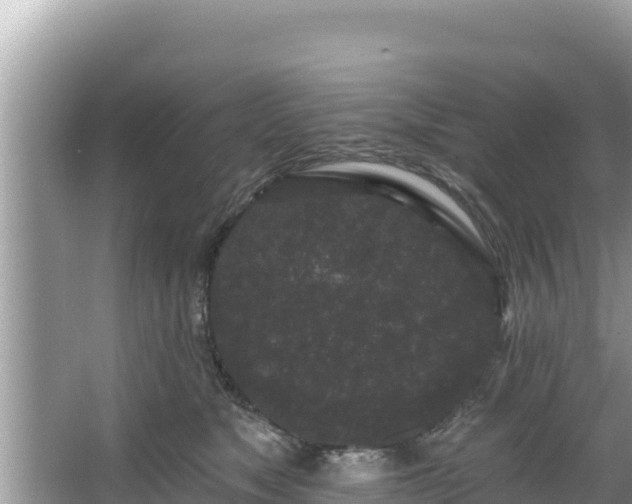 X0000067900517200604171406