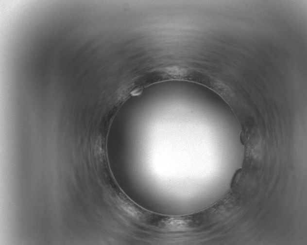 X0000067900518200604171406