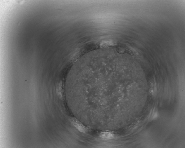 X0000067900519200604171406