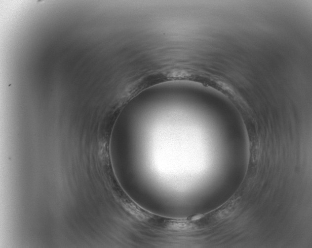 X0000067900521200604171406