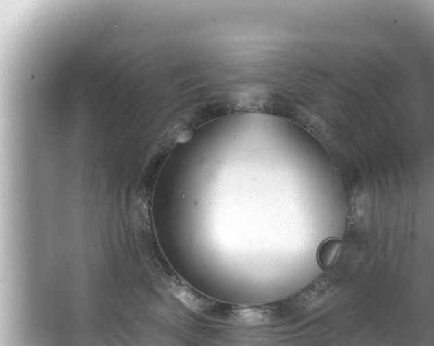 X0000067900522200604171406