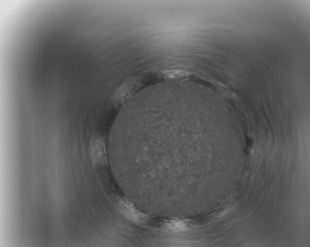 X0000067900523200604171406