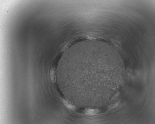 X0000067900527200604171406