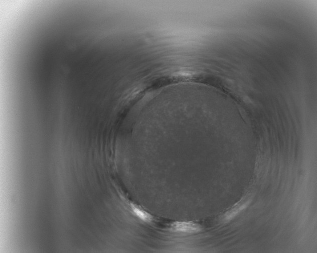 X0000067900528200604171406