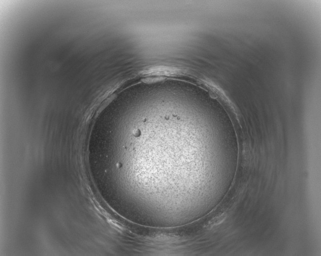 X0000067900529200604171405