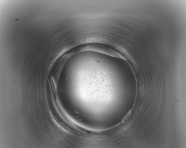 X0000067900530200604171405