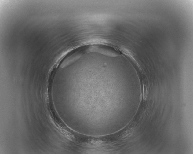 X0000067900531200604171405