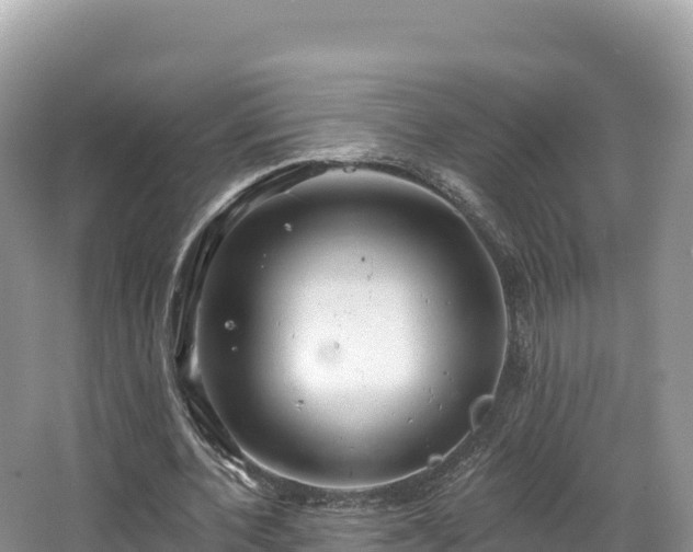 X0000067900532200604171405