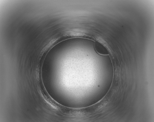 X0000067900533200604171405