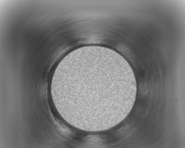 X0000067900534200604171405