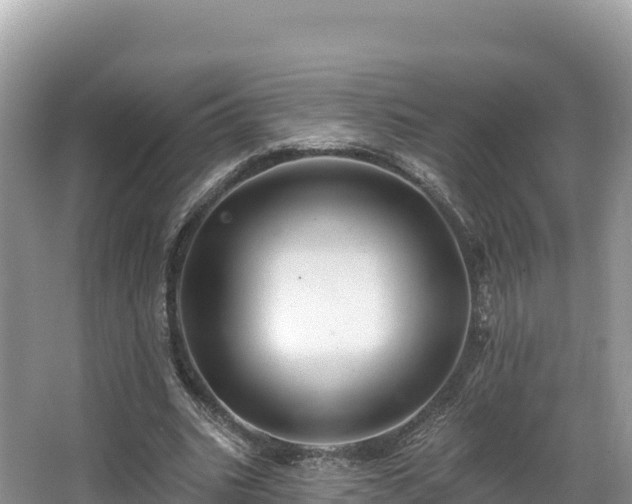 X0000067900535200604171405