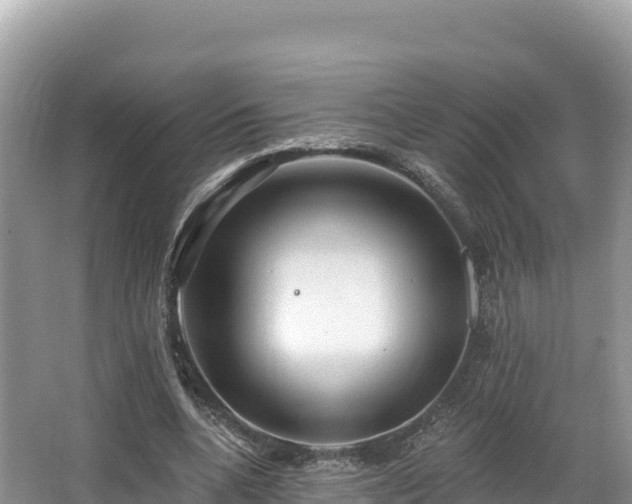 X0000067900536200604171405