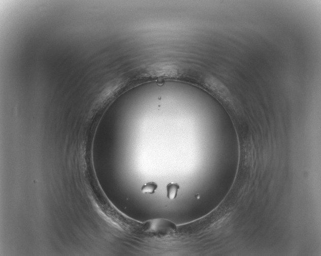 X0000067900538200604171405