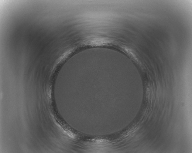 X0000067900539200604171405