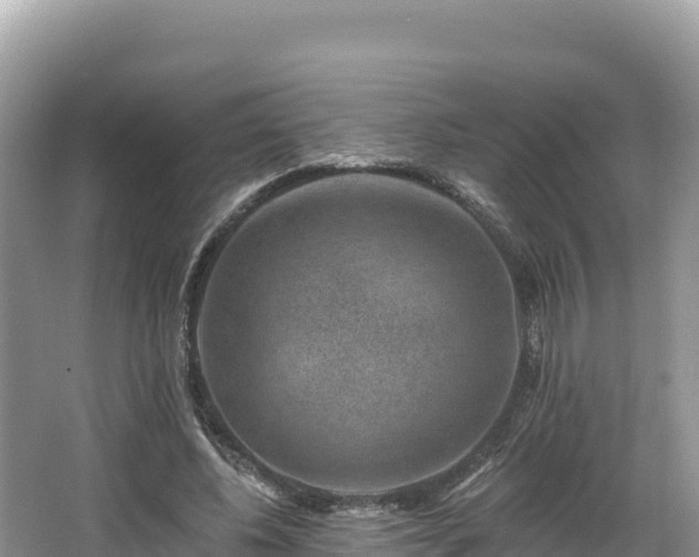 X0000067900540200604171405