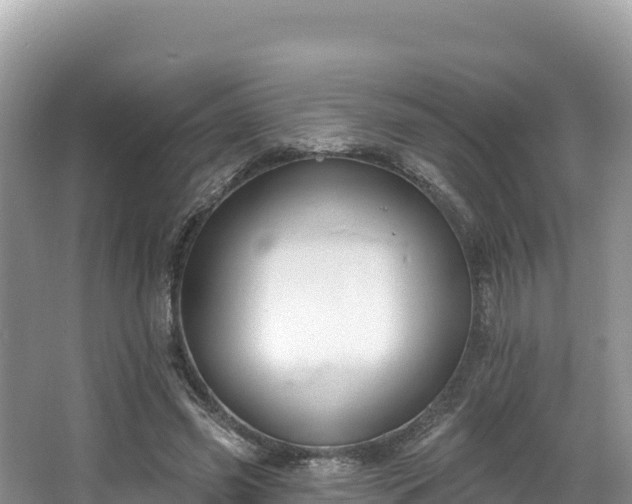 X0000067900541200604171405