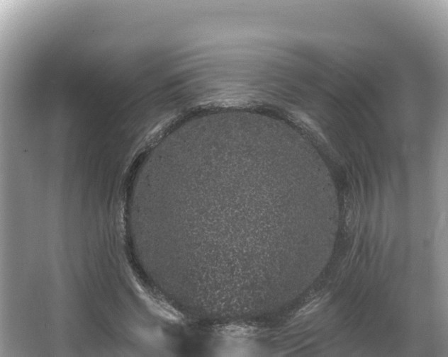 X0000067900542200604171405