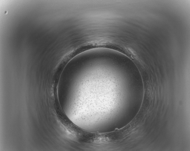 X0000067900543200604171405