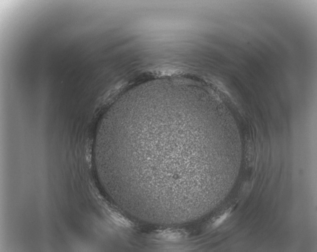 X0000067900545200604171405