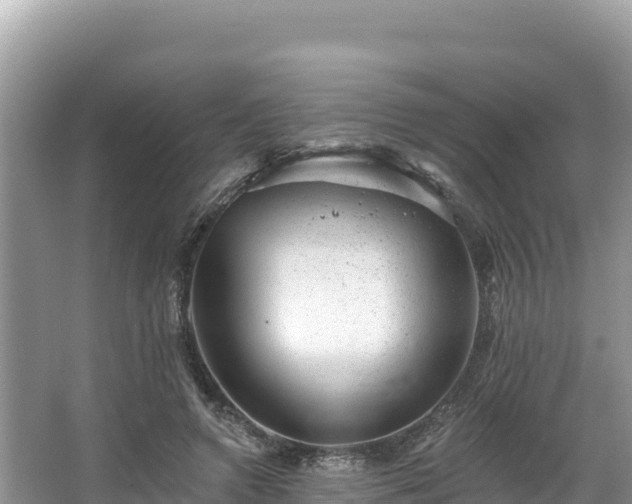 X0000067900546200604171405