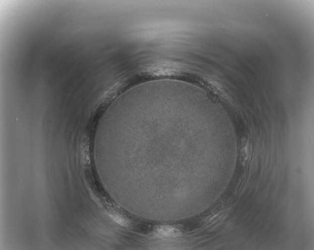 X0000067900547200604171405