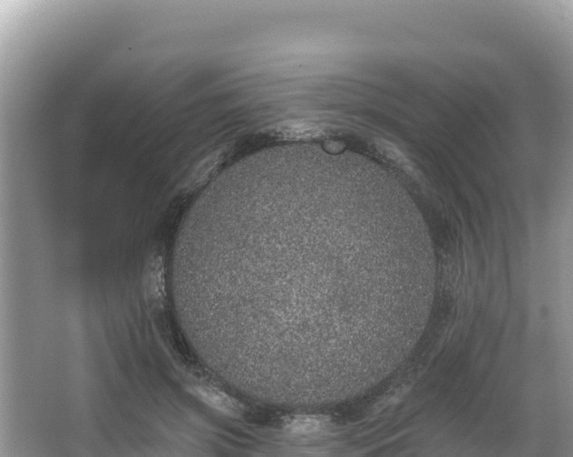 X0000067900549200604171406