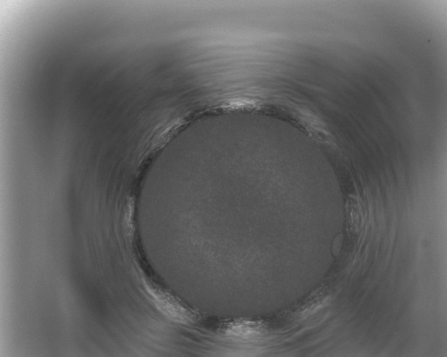 X0000067900550200604171406