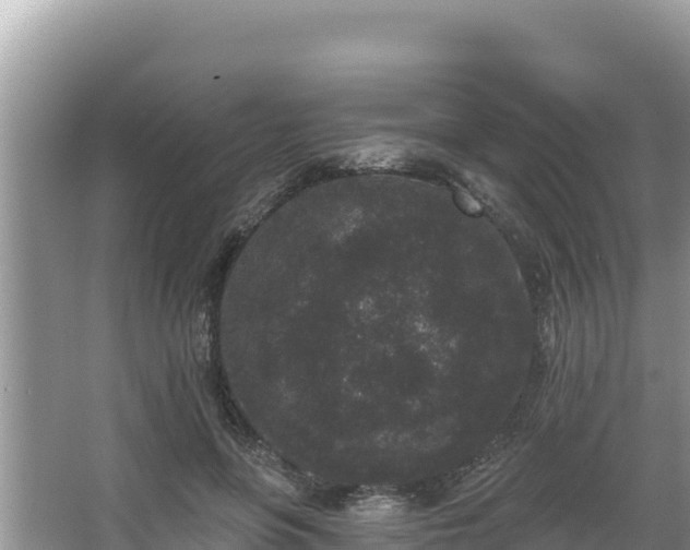 X0000067900551200604171406