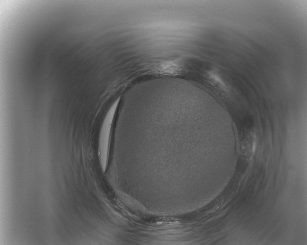 X0000067900552200604171406