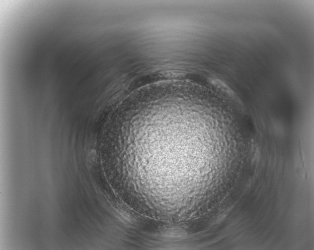 X0000067900553200604171406