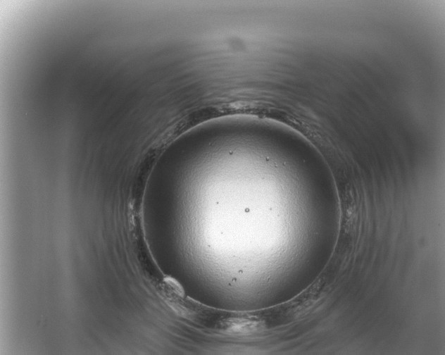 X0000067900555200604171406