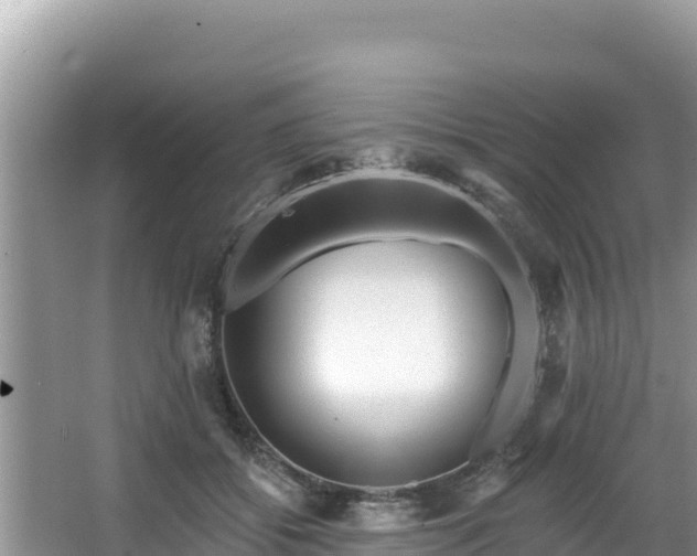 X0000067900556200604171406