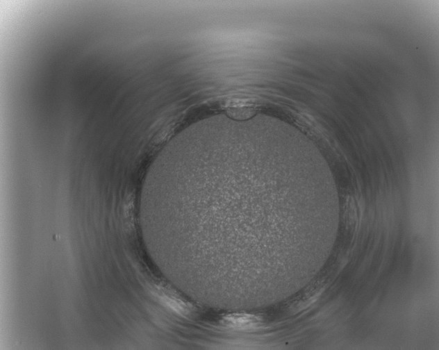 X0000067900557200604171406