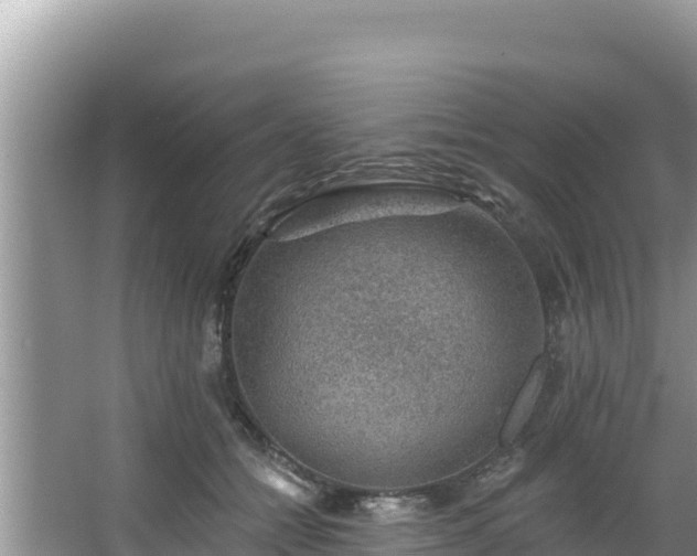 X0000067900558200604171406