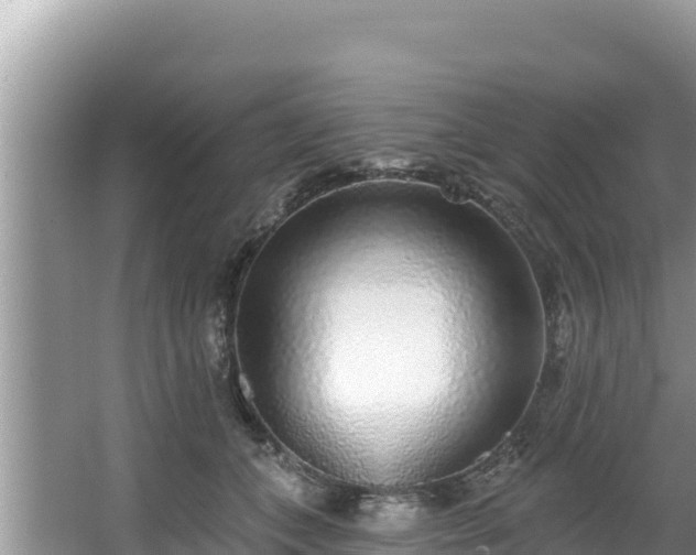 X0000067900559200604171406