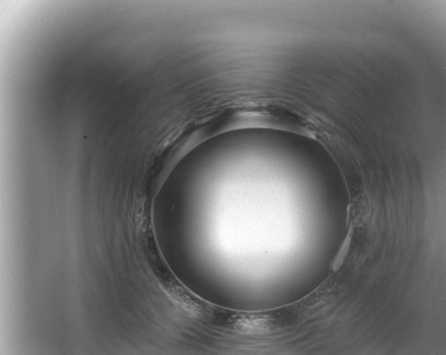 X0000067900560200604171406