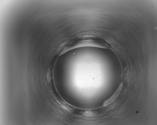 X0000067900562200604171406