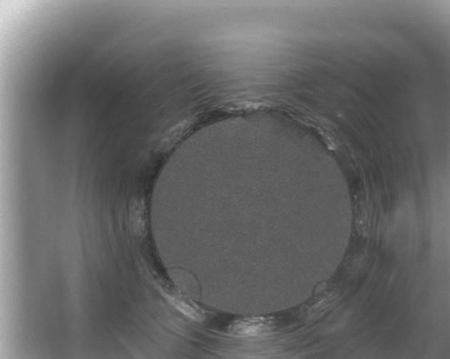 X0000067900563200604171406