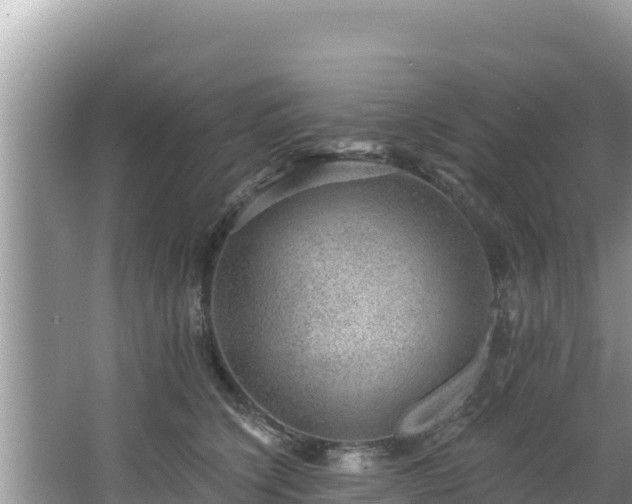 X0000067900564200604171406