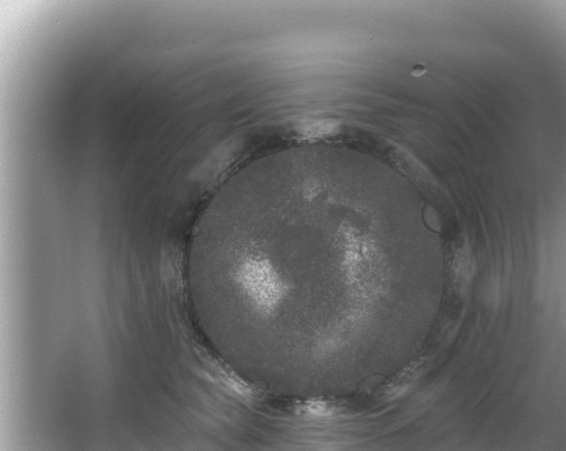 X0000067900565200604171406