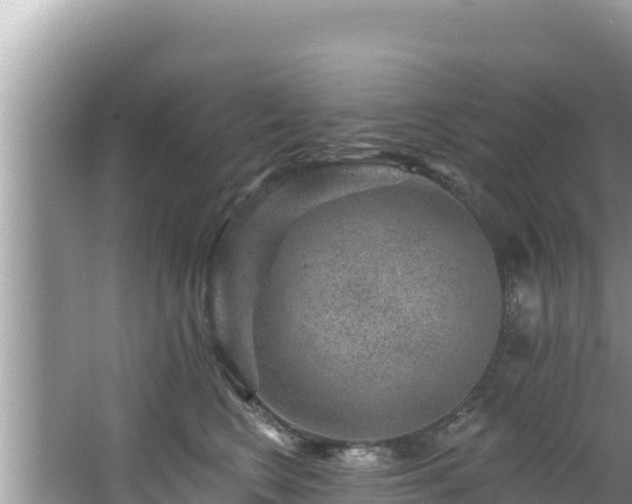 X0000067900566200604171406